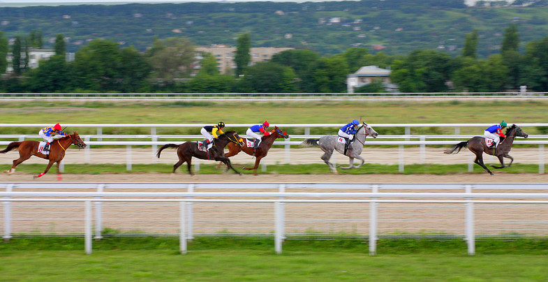 Horse Race Finishing Positions